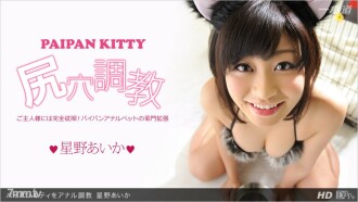 Anal training pie bread kitty