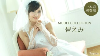 모델 콜렉션
