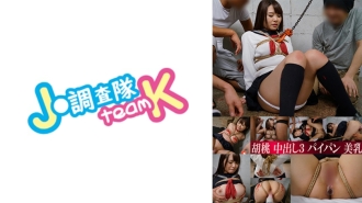 376H-494 核桃