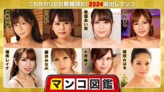 Pussy picture book ~Ito ang tunay na kilig ng Karibi! 2024 Kuradashi pussy~