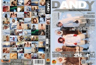 Commemorating DANDY's 5th Anniversary!