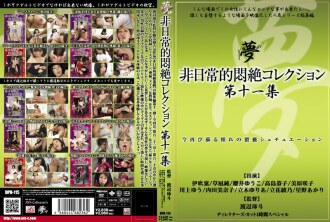 Extraordinaire Agonie Collection Vol.11