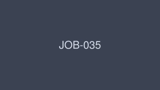 JOB-035 职业女性 2 VOL.39 - 羽生稀