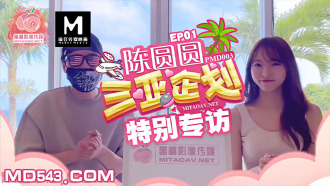 Chen Yuanyuan's special interview with Sanya planning