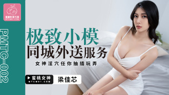 The ultimate small model delivery service in the same city